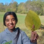 UE-Ad-Photo-Option-e1664384996537-150x150